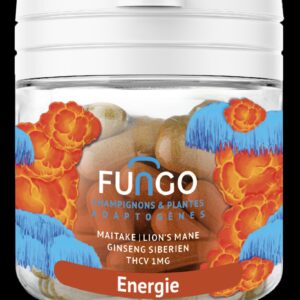 Gélules THCV – Energie – Champignons et plantes adaptogènes